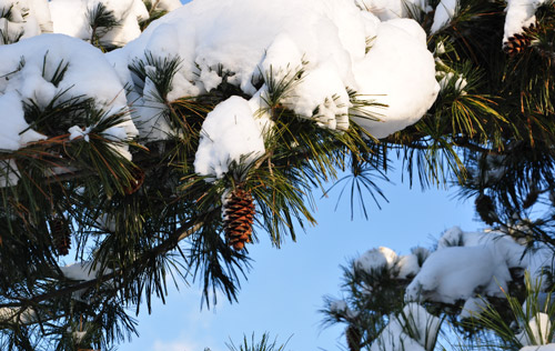 2022版：工傷認(rèn)定流程及賠償標(biāo)準(zhǔn)（1-10級(jí)、工亡）