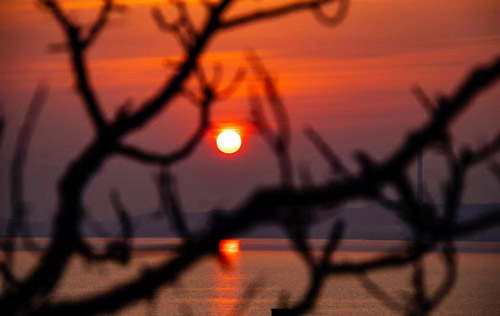 稅務(wù)登記辦理流程有哪些?