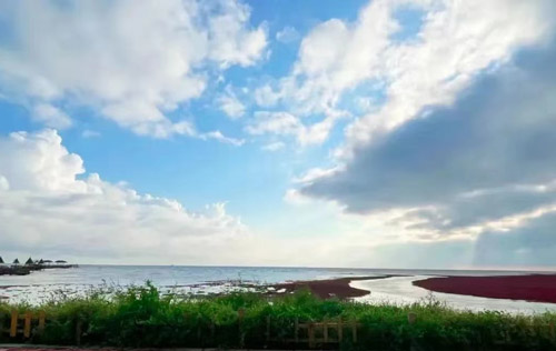 沈陽勞務(wù)派遣公司是如何維護人力資源個體的合法權(quán)益？