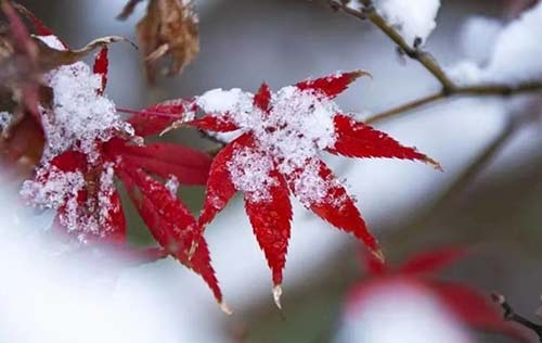 沈陽勞務(wù)派遣有三大優(yōu)勢