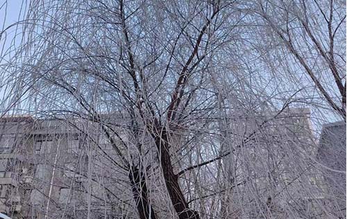 沈陽人事代理服務(wù)流程詳解：專業(yè)人事管理的規(guī)范化步驟